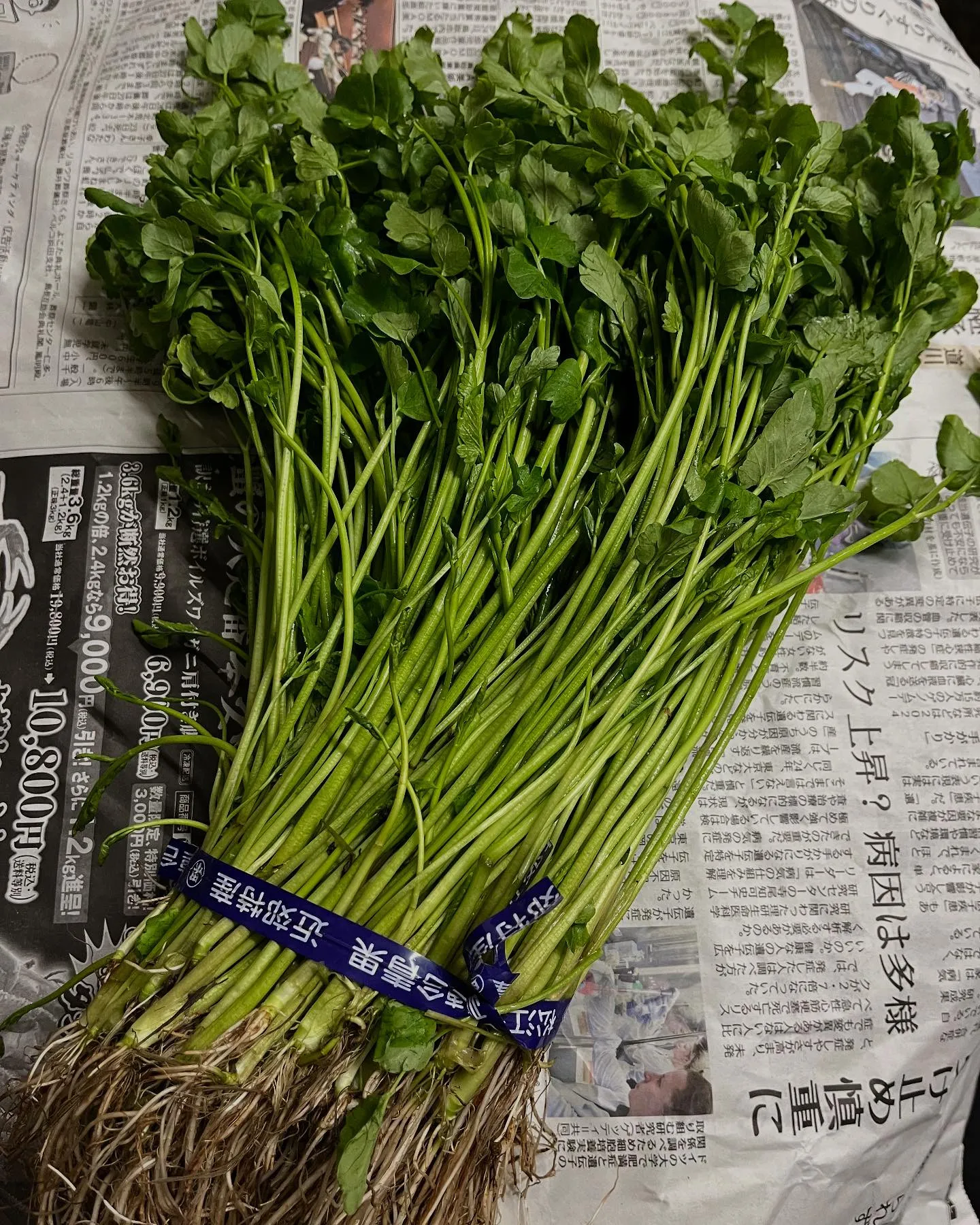 🍃**特別な一杯をお届け!**🍃